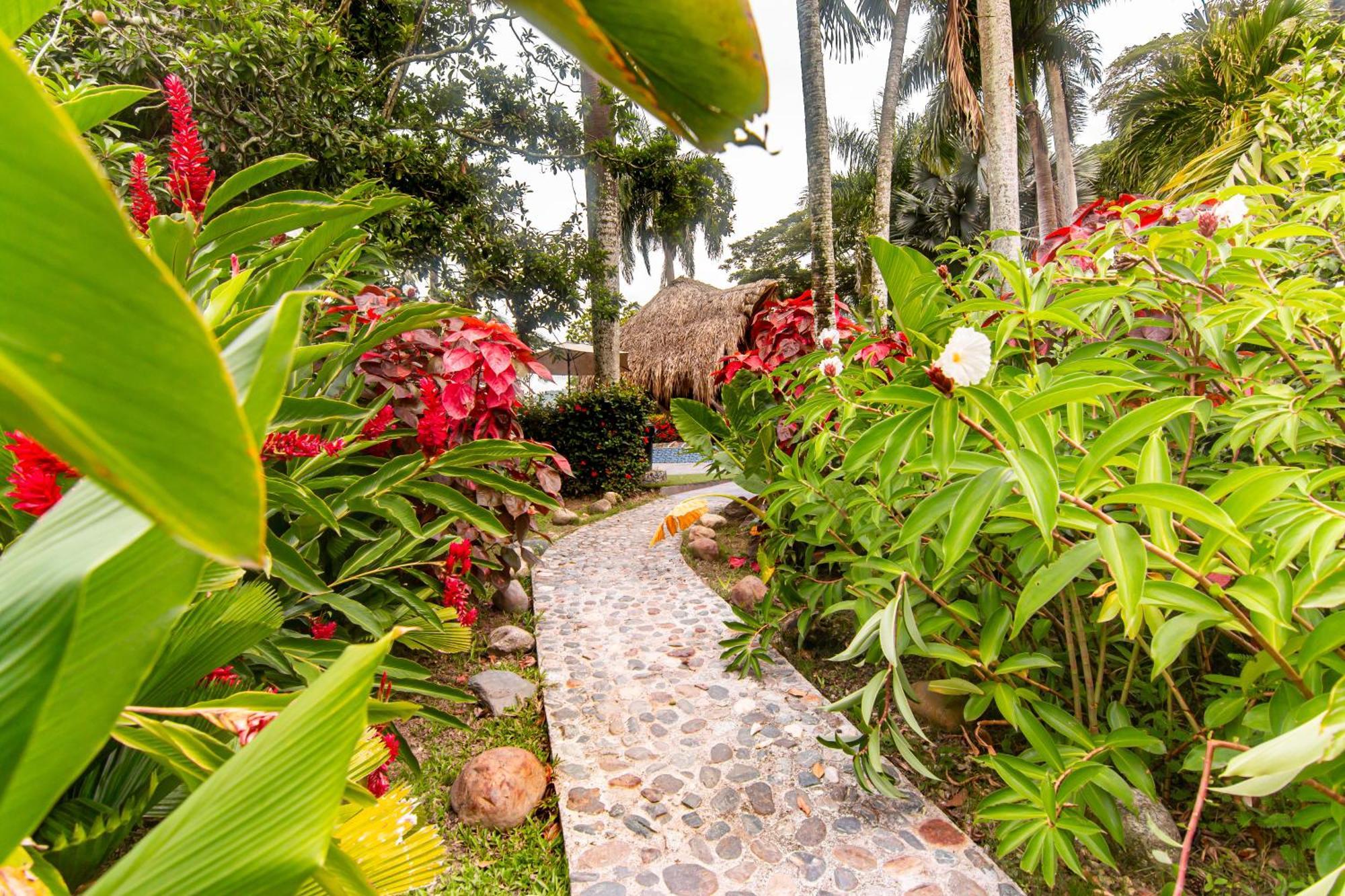 Portales Del Tayrona Garden Hotel Calabazo  Exterior photo